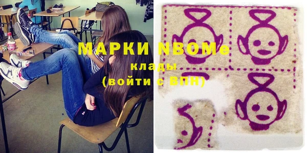 индика Нязепетровск